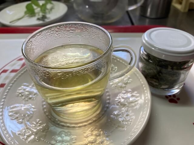 抗ウイルス作用のハーブティー