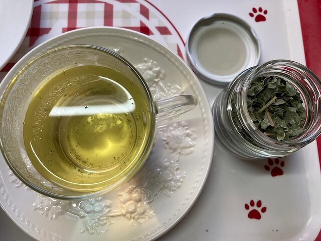 エキナセアハーブティー