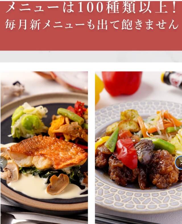 デリピックスメニュー１００種類