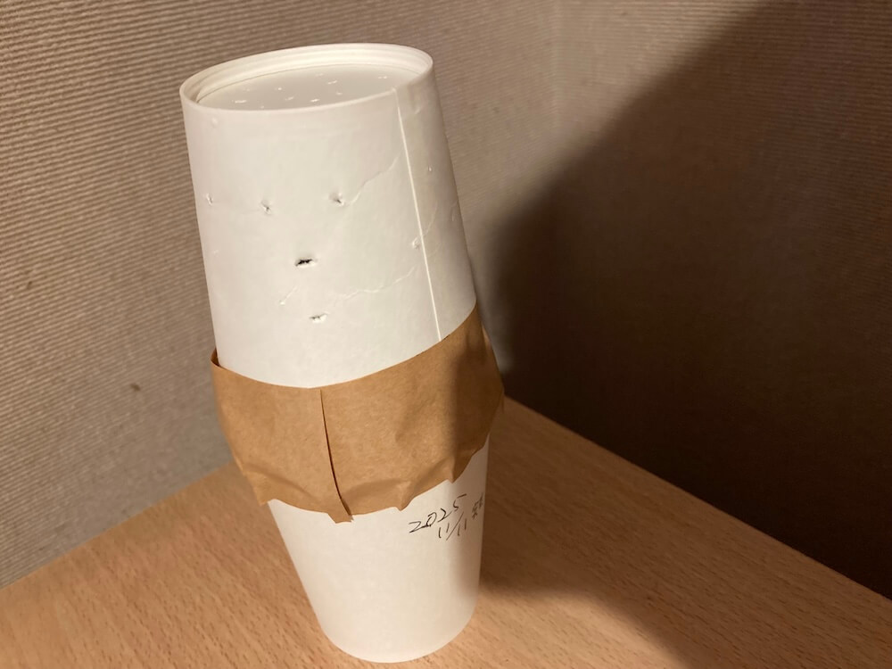 紙コップで抜き苗をパッキング