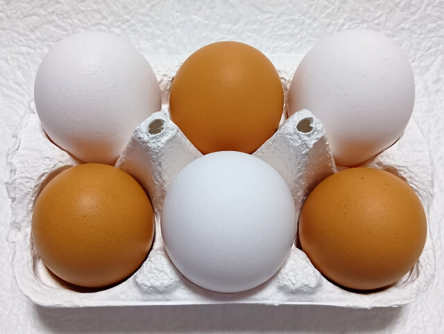 たまご赤白