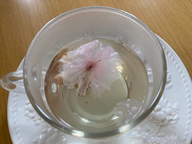 花が開く桜茶