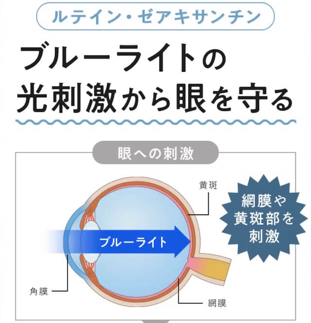 ルテイン・ゼアキサンチンで眼を守る