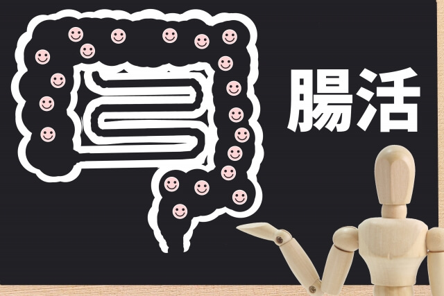 腸活と腸