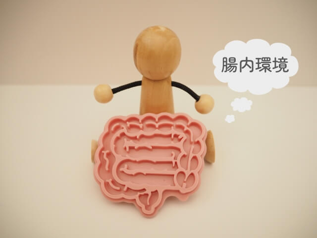 腸活と腸内環境