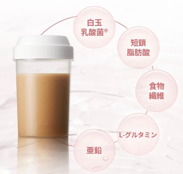 白玉乳酸菌・短鎖脂肪酸など